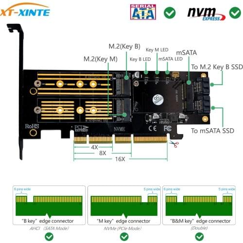 XT-XINTE 3 in 1 Msata and M.2 for NVME SATA SSD to PCI-E 4X PCIE 3.0 4.0 and SATA3 Adapter Converter Riser Card M Key B Key