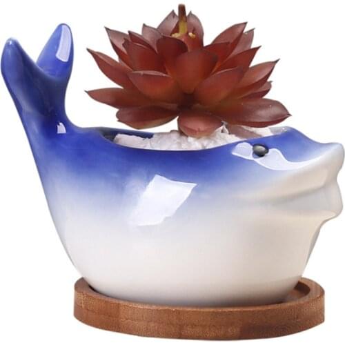 Mini Flowerpot Floral Ornaments Plant Pot Vases Toucan Whale Creative Desktop Ceramics Handmade Craft Cute Decoration Planters