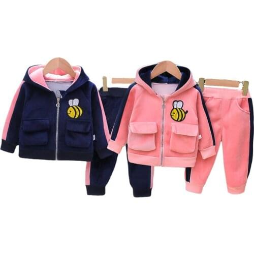 Autumn Winter New Clothing Set Two Sided Flannel Outfit Baby Boys Girl Hooded Jacket + Pants 2Pcs Plush Casual Kids Clothes Suit