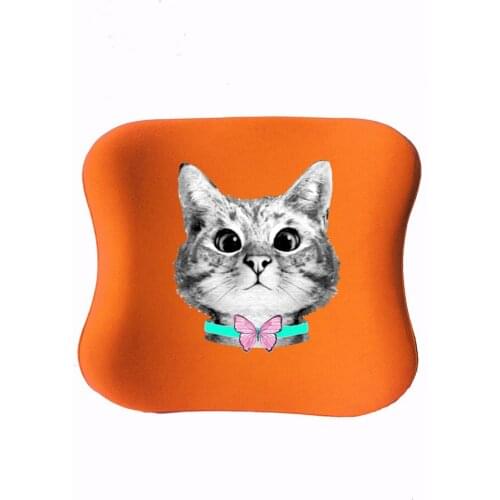 Custog Memory Foam Kids-Young Visco Waist Support Back Pillow For Study Chair Orthopedic Health Care Pad Cat