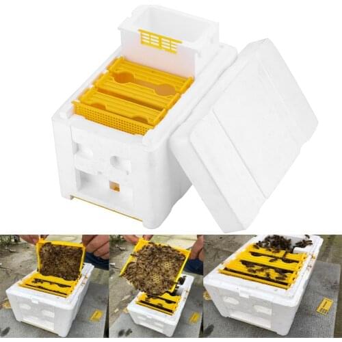 Bee Hive Beekeeping King Box Pollination Foam Frames Beekeeping Part Kit Harvest Bee Hive Home Hive Case Beekeeper Tools