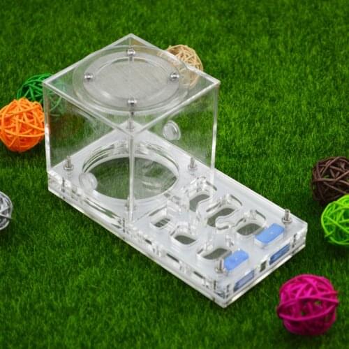 Wholesale Acrylic Ant Nest Imitation Ecological Ant Farm Ant Breeding Nest