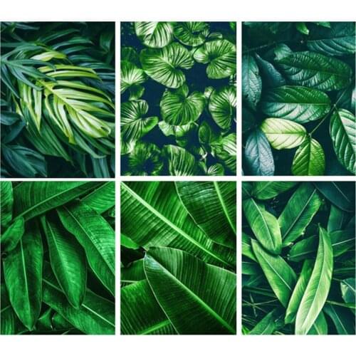 Yumeart Paintings By Numbers Landscapes