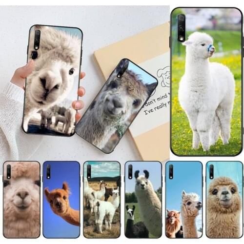 Lama Llama Alpacas Animal Phone Case for Huawei Honor 30 20 10 9 8 8x 8c v30 Lite view pro