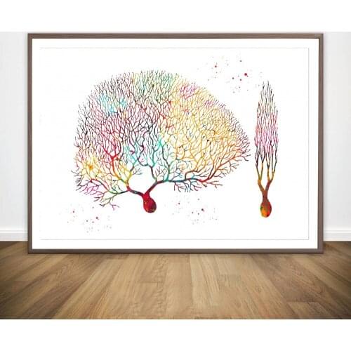 Purkinje Neuron Red Wine Molecule Rib Cage Rorschach Inkblot Test Anatomical Medical And Science Poster