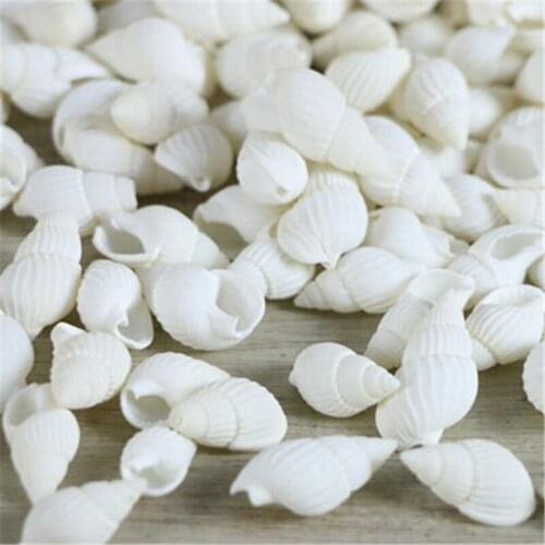 200pcs/lot 100% natural white color 1-2cm small sea shell snail/trumpet shell wedding/festival/party home decoration