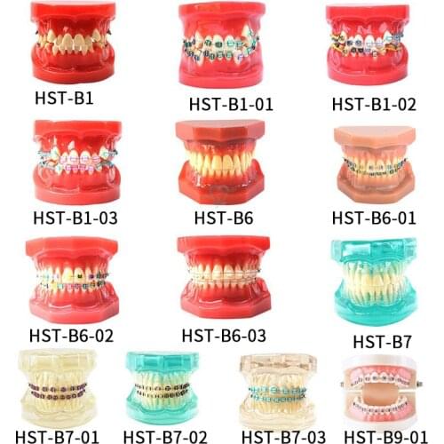 Dental Teeth Model Dental Orthodontic Model Dental Oral Care Study model forDental Adult Standard Typodont Demonstration