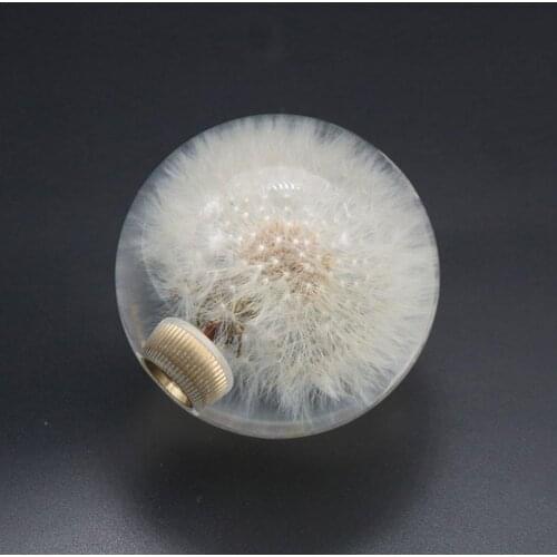 Dandelion Shift Handle HeadRacing Crystal Ball Dandelion Transfer Head 3 Durable Adapter Real Flower Knob Transfer With R1P3