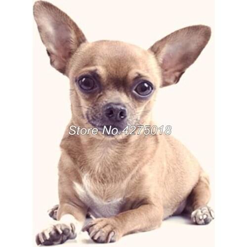 Full Square Diamond Embroidery DIY Diamond Painting Cross Stitch Kits chihuahua pet dog 5D Drill Mosaic Home Decor YG386