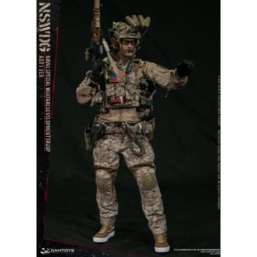 1/6 Action Figures DAMTOYS DAM78065 U.S. navy special NSWDG AOR1 version of the seal