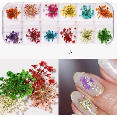 Navolution Materials For Nail Design