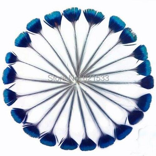 Corona Peacock Feathers, 10Pieces/Lot - BLUE Iridescent Peacock Crown Loose Feathers, approximately 2 inches long
