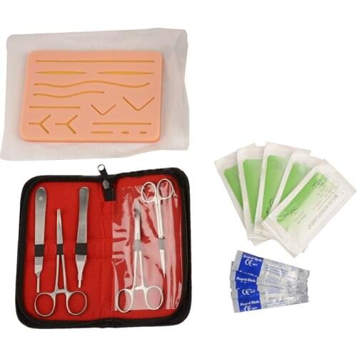 Анатомические модели ZJMZYM China At AliExpress