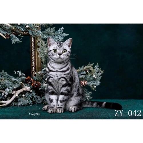 DAWNKNOW Pet Cat Photography Background Backdrop Uniquely Texture Oil Painting Pro Tie-Dyed Muslin Shoot Photo Studio Props 2x3M