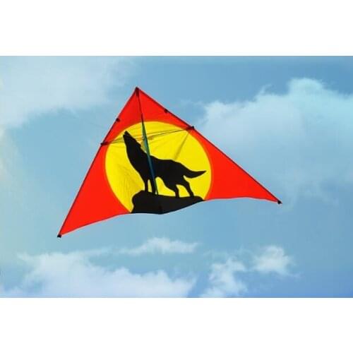 Outdoor toys kite adult flying toy kite acrobatic flying bird toy carbon kite single line fly floatant ripstop kite rainbow kite