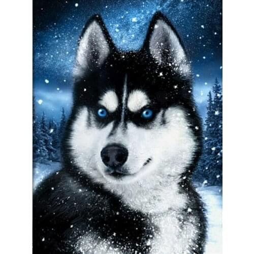 Cute Gog In Snow Animal 40x50CM Painting By Numbers Wall Art Picture Acrylic Painting For Home Decoration Drop Shipping 60x75cm