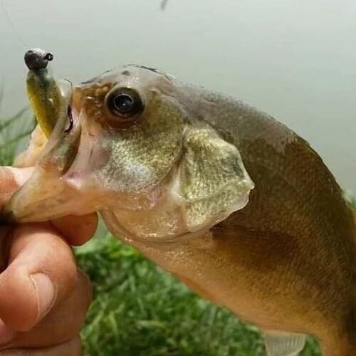 50pcs Lead Jig Head Fishing Hook 1g-20g Jig Hooks For Soft Fishing Lure Carbon Steel Fishhooks tete plomb avec hamecon