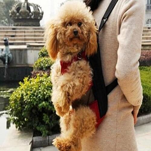 50% Hot Sales!!! Pet Dogs Cats Outdoor Carrier Backpack Canvas Legs Out Front Shoulder Bag