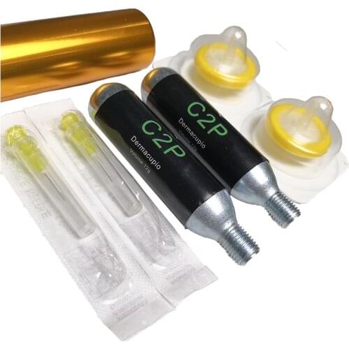 Automatic Device C2P CO2 Gas Skin Care for CDT Device/CDT Inject Machine for CDT Carboxy Therapy Equipment