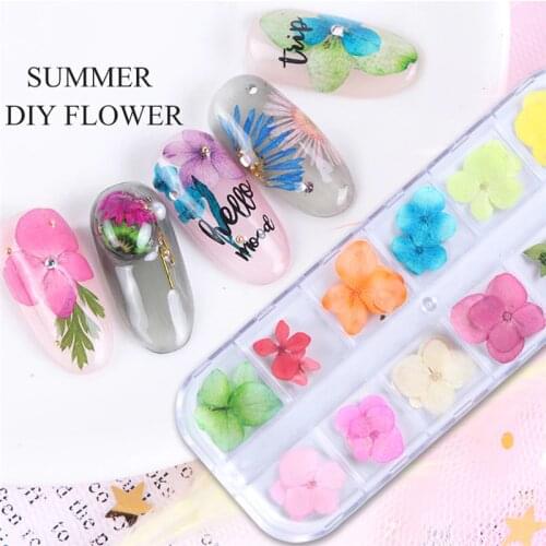 1Box Mixed Dried Flowers Nail Art Decoration Natural Floral Sticker 3D Dry Beauty Nail Art Decals UV Gel Polish Manicure