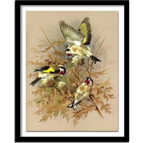 Three little birds 5D diamond painting cross stitch needlework diamond square home decor crafts diamond embroidery
