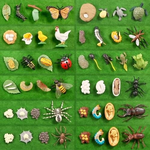 SIRENXI Figures With Animals