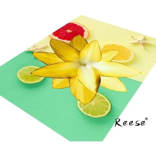 Reese High Quality Crawling Carpets Clear Flower Pattern Area Rug For Kidsroom Living Room Bedside Anti Slip Easy Clean Outlets