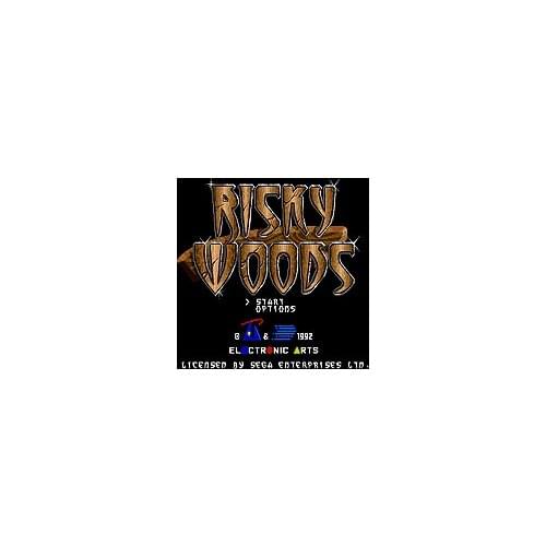 Risky Woods 16 bit MD Game Card For Sega Mega Drive For Genesis