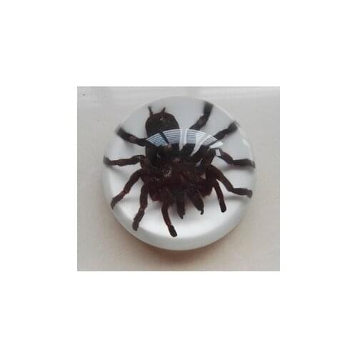 Artificial amber stuffed insect specimen spider centipede scorpion bat creative gift home table 8.8x4cm