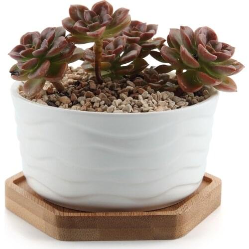 Ceramic Contemporary Ripple Surface Succulent Plant Pot Cactus Plant Pot Container With Hexagon Bamboo Tray Pack