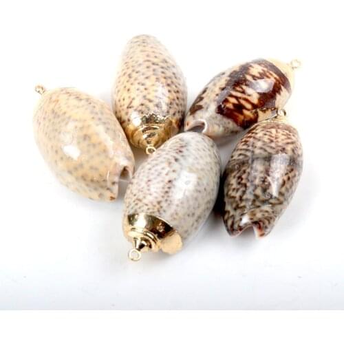 Gold plating Aquarium Beach Nautical DIY Shells Colorful Natural Seashells Decorations Scallop Shells Crafts Decor Ornament 5Pcs