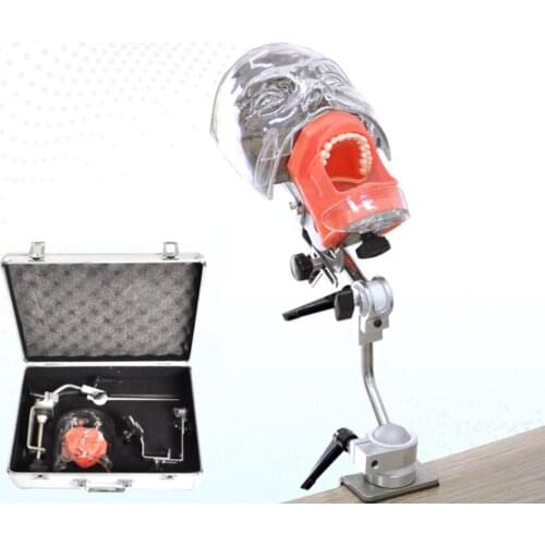Head Model Dental simulator Nissin manikin phantom head model with new style bench mount for dentist teaching