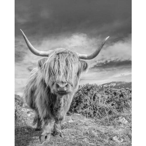 DIY 5d Diamond Painting Grey Highland Cows cross stitch kits Mosaic Diamond Embroidery Resin Hobby Craft Home Decor C639