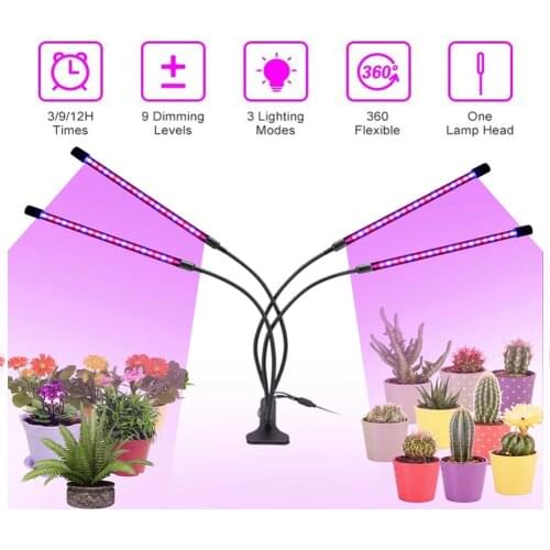 Aimkeeg LED Plant Lamps