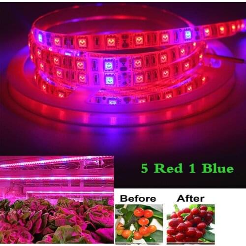 Светодиодные лампы для растений GIDEALED China At AliExpress