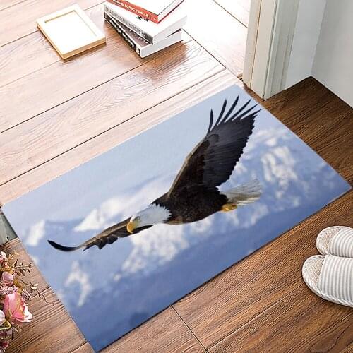 Eagle Sky Snow Mountain Family Doormat Kitchen Living Room Floor Rug Bathroom Non-slip Foot Mat Entrance Hall Welcome Carpet