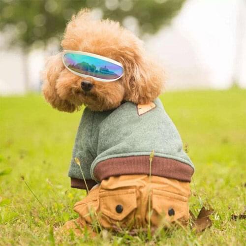 Adjustable Pet Dog Sunglasses Small Puppy Cat Fashion Goggles Waterproof Windproof Eye Wear Protection UV Sun Glasses
