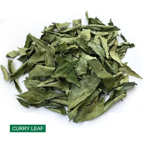 100g / 40g / 20g fresh curry leaves Organic curry leaf Natural Dried Free Shipping