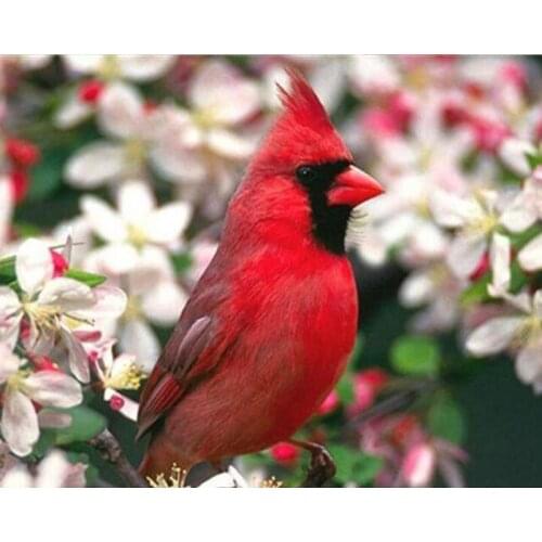 DIY 5D diamond painting cross stitch red Bird flower round diamond embroidery mosaic pattern Crafts gift stickers decoration