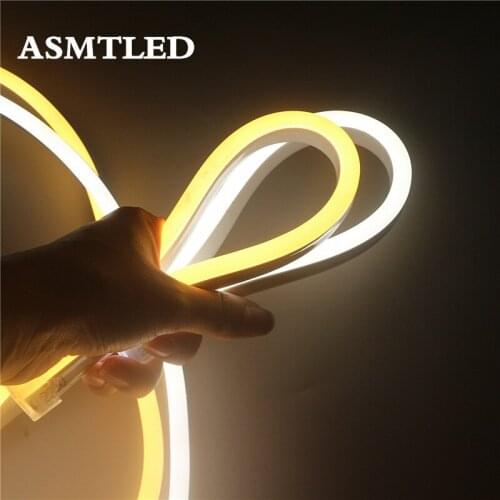 Neon Sign Colorful Rainbow Led Light Neon Tube LED Lights 1M-20M Strip Tape With Power Plug for Kids Room Xmas Home Wall Decor