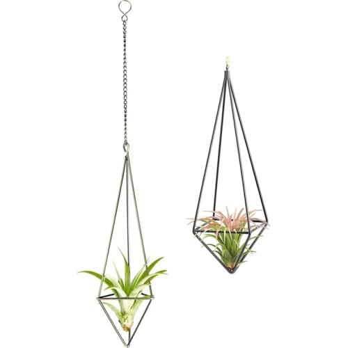 1 Pack Hanging Air Plant Holder Bronze & 1x Modern Rustic Art Style Freestanding Hanging Iron Tillandsia Air Plant Rack
