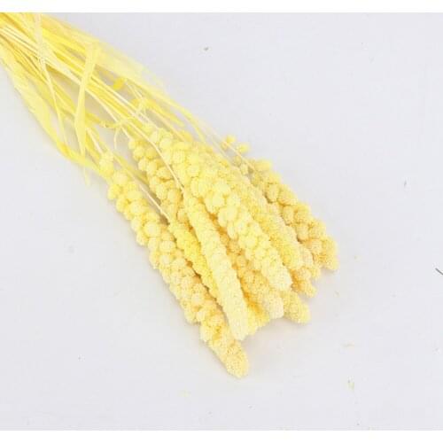 10 Pcs Natural Dried Fresh Flower Bundle Preserved Millet Flower DIY Flower Wedding Decoration