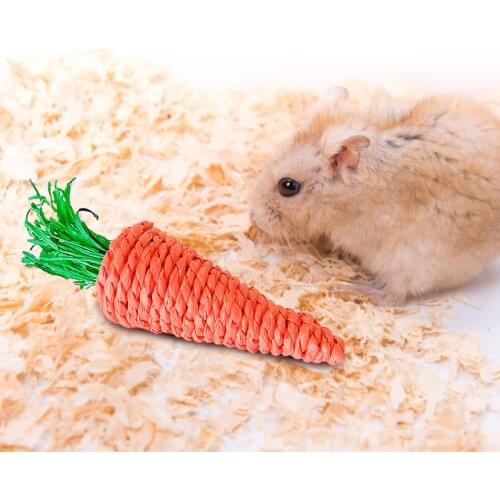 3Pcs/Set Carrot Shaped Rabbit Hamster Chew Bite Toys Guinea Pig Tooth Cleaning Toys Hamster Toys Brinquedos Wondeful