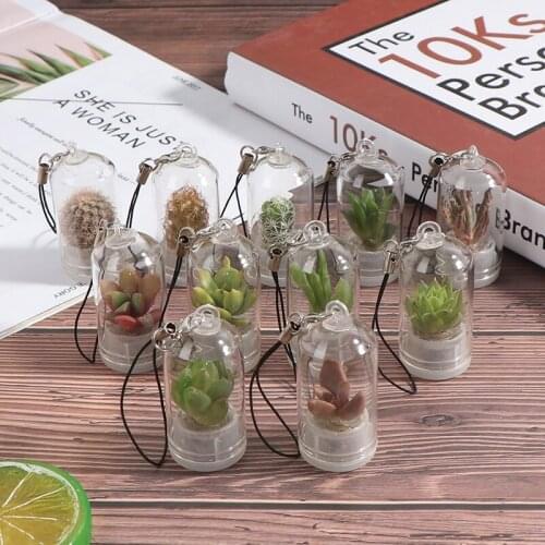 Cactus Miniature Succulent Cactus Terrarium Wearable Necklace Live DIY Succulent Plant Pendant Random Style