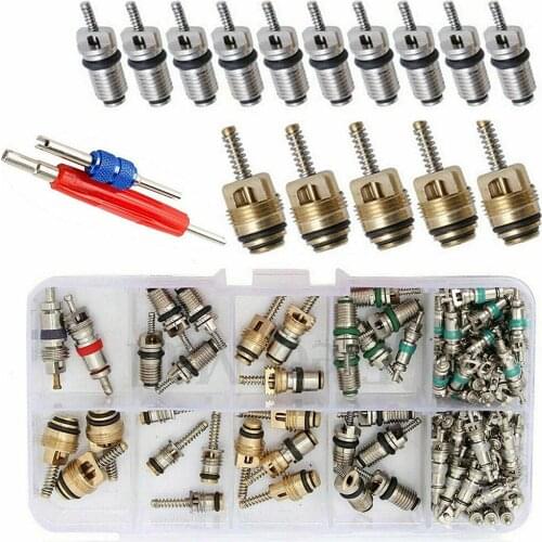 102pcs R12 & R134a A/C Car Air Conditioner Schrader Valve Core Remover Tool Kit Suitable for most models 99% valves