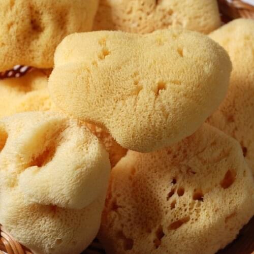 Greek Aegean Sea Natural Sponge Water Absorbent Sponge for Painting Brush Wipes Special Texture Making Cleaning Tools