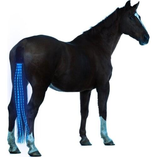 Jusenda Products For Horses