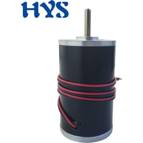 HYS Mini Motor DC12V 24V High Speed 4000rpm 8000rpm Electric Motor DC 12 Volt 24 V Huge Torque Reversible CW/CCW Motors DIY