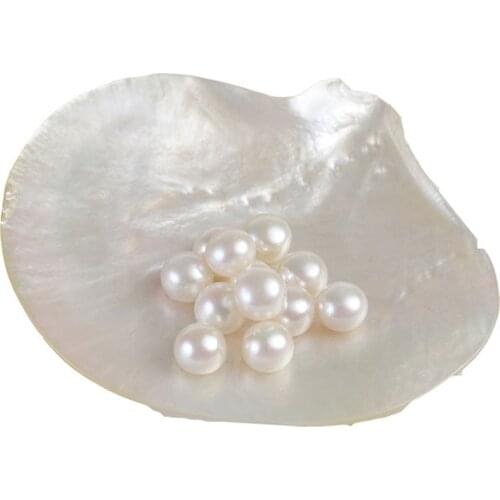 3a High Grade Button Pearls Zhuji Natural Freshwater Loose Pearl Beads Half Hole 9-12mm for Earring