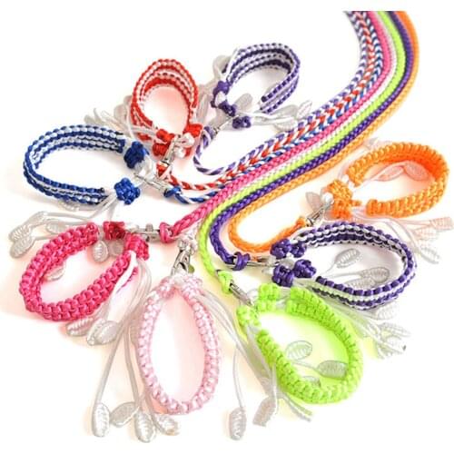 Pet Leash Small Pets Harness Hamster Rabbit Chinchilla Squirrel Outdoor Adjustable Chest Lead Rope for Rabbit Kittens